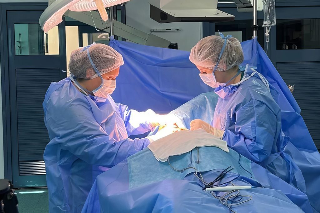 التدريب السريري لطلاب الطب في روسيا: الخبرة والفرص